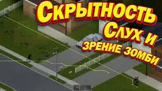 Project Zomboid - Слух, зрение и память зомби, навыки скрытности.