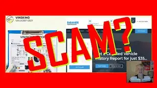 GoAutoVIN.com & VINsKing.com - What is the VIN Check Scam?