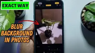 How to Blur Background in Photos on iPhone
