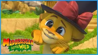 Alex Tries Magic! | DreamWorks Madagascar