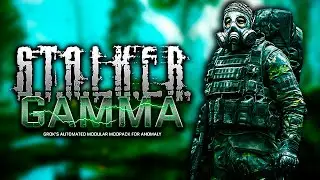 Новое снаряжение Вити Дятла ★ S.T.A.L.K.E.R. Anomaly G.A.M.M.A. ★ День 4