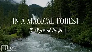 In a magical forest : Acoustic Folk Emotional Love Background Music