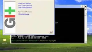 11   Git on Windows