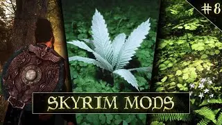 Skyrim Mods You Should Not Miss Out On! (Weekly Dose Of Skyrim Mods #8)