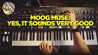 Does Moog Muse sound good?