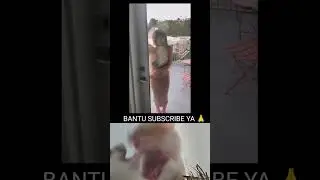 Cewek tanpa dalaman boba ketat padat mantul mantul #bobaviral #viral #shortsvideo #cewek