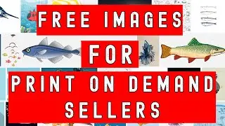 Copyright Free Images From Pixabay For Print On Demand - Amazon Merch and Redbubble