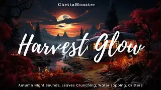 Misty Autumn Ambience | Harvest Glow | Ambient Worlds [1hr+]