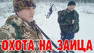 ОХОТА НА ЗАЙЦА тропление по следу 