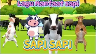 SAPI SAPI Lagu Manfaat Sapi - Kbeeb Origianl song #laguanak #sapi