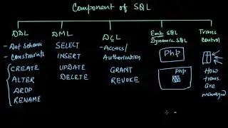 Introduction to SQL | Database management System
