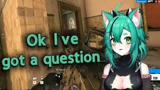 Curious Cat