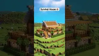 Survival House 🏡 #shorts