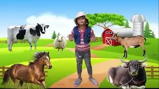 Similarities of Different Animals