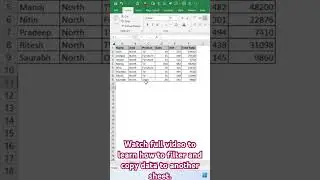 Use AUTOFILTER method to filter and copy data in excel #excel #tutorial #autofilter #vba