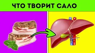 Я ела сало каждый день и случилось | Польза и вред сала