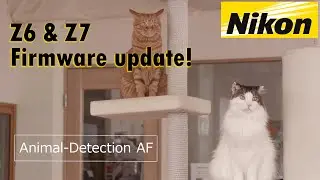 Nikon drop BOMB firmware 3.0 for Z series.. Animal AF!