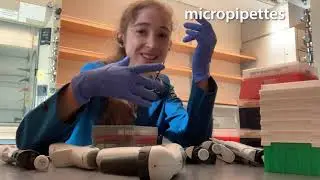 Pipette types and tips - an intro/overview