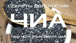 СЕМЕНА ЧИА. ЧЕМ ПОЛЕЗНЫ СЕМЕНА ЧИА / СЕКРЕТЫ ДОЛГОЛЕТИЯ