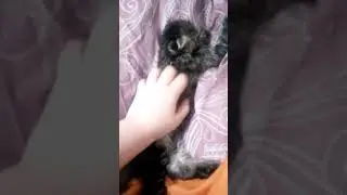 Милашка же правда