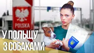 ИЗ УКРАИНЫ В ПОЛЬШУ С 4-МЯ СОБАКАМИ  | 2. ВСЕ о Документах: Паспортa, Титры, Сертификаты (02.2023)