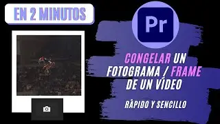 How to FREEZE a FRAME of a VIDEO | Adobe Premiere Pro Tutorial