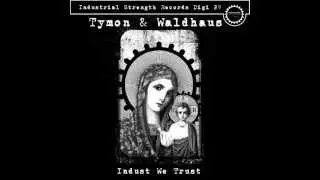 Tymon & Waldhaus - Purgatory (ISRDIGI029)