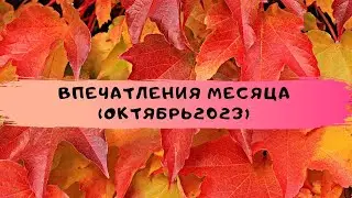 Впечатления месяца (октябрь 2023) / Книги / Встречи