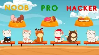 NOOB vs PRO vs HACKER - Duet Cats
