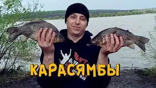 Крупные караси на донки! Голодяевский пруд Пензенская область