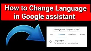 How to change language in Google assistant