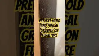 This will prevent mold and fungal growth on furniture #shorts