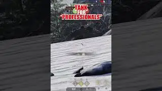 Hard to kill this @#$& 