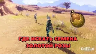 Где искать семена золотой розы | Геншин Гайды | Genshin Impact