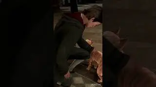 Always Pet The Cat When You See One in Hogwarts Legacy