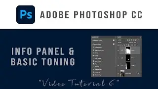 Learn Adobe Photoshop 2024 in Steps. Info Panel and Basic Layer Adjustments