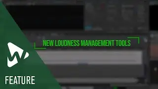 Loudness Management | New Features in WaveLab 12