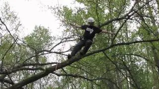 Branchwalking | Basic tree climbing techniques