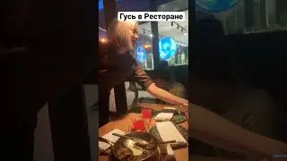 Гусь в Ресторане ( полный выпуск уже на канале ) 