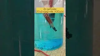 Electrolysis of copper sulphate (CuSO4) experiment|#shorts #electrolysisexperiment #electrochemistry