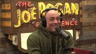 Joe Rogan Experience #2099 - Aaron Rodgers