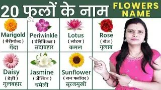 20 Flowers name in Hindi and English | फूलों के नाम, Phoolon ke naam, Name of flowers, Flowers names