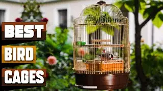 Best Bird Cage In 2024 - Top 10 Bird Cages Review