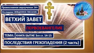 03 Бытие 3 (14-15) Последствия грехопадения 2 часть
