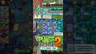 Suburban Almanac Iceburg Lettuce 