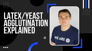 Latex and Yeast Agglutination Testing Explained