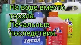 Печальные последствия езды на воде вместо тосола....