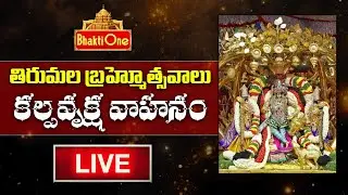 KalpaVriksha Vahanam Live from Tirumala | Srivari Vaarshika Brahmotshavalu 2024 | BhaktiOne