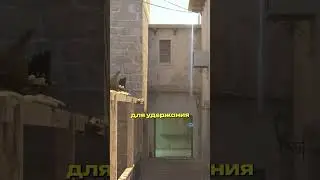 ДЫМ ДЛЯ КОНТРОЛЯ АППАРТАМЕНТОВ НА КАРТЕ МИРАЖ  #shorts #short #csgo #ксго #cs2