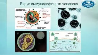 Зубкова Ж.В. Диагностика ВИЧ-инфекции
